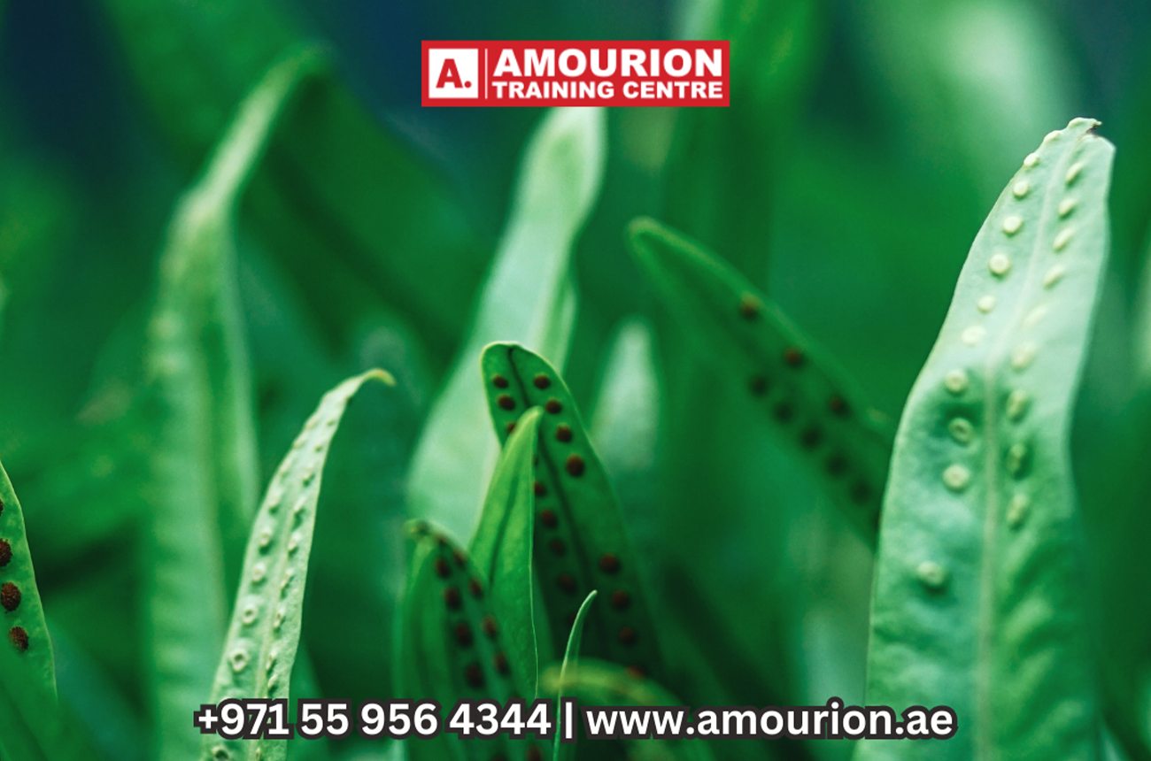 AS Level Biology Tuition Services Near Al Reem Island