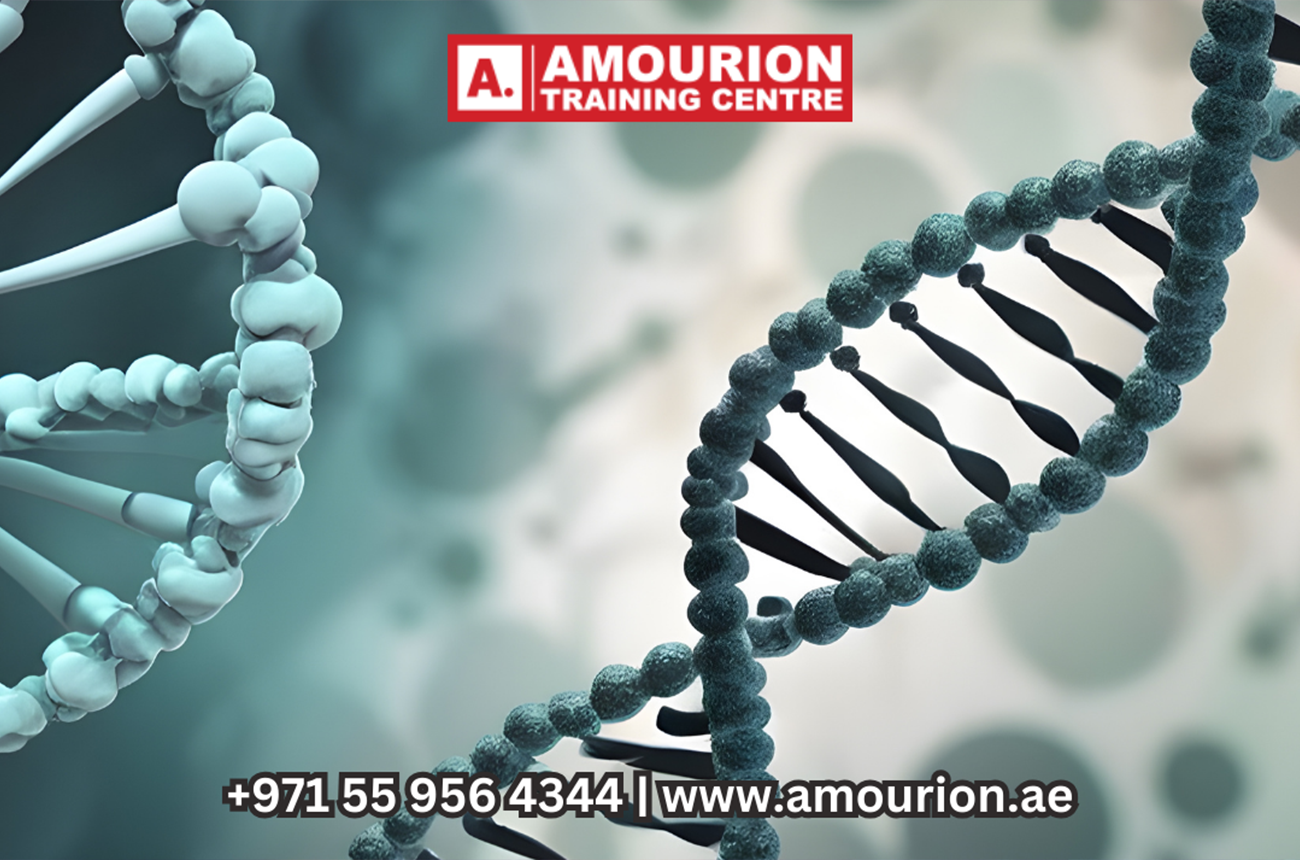 Expert IB Biology Tuition in Abu Dhabi 