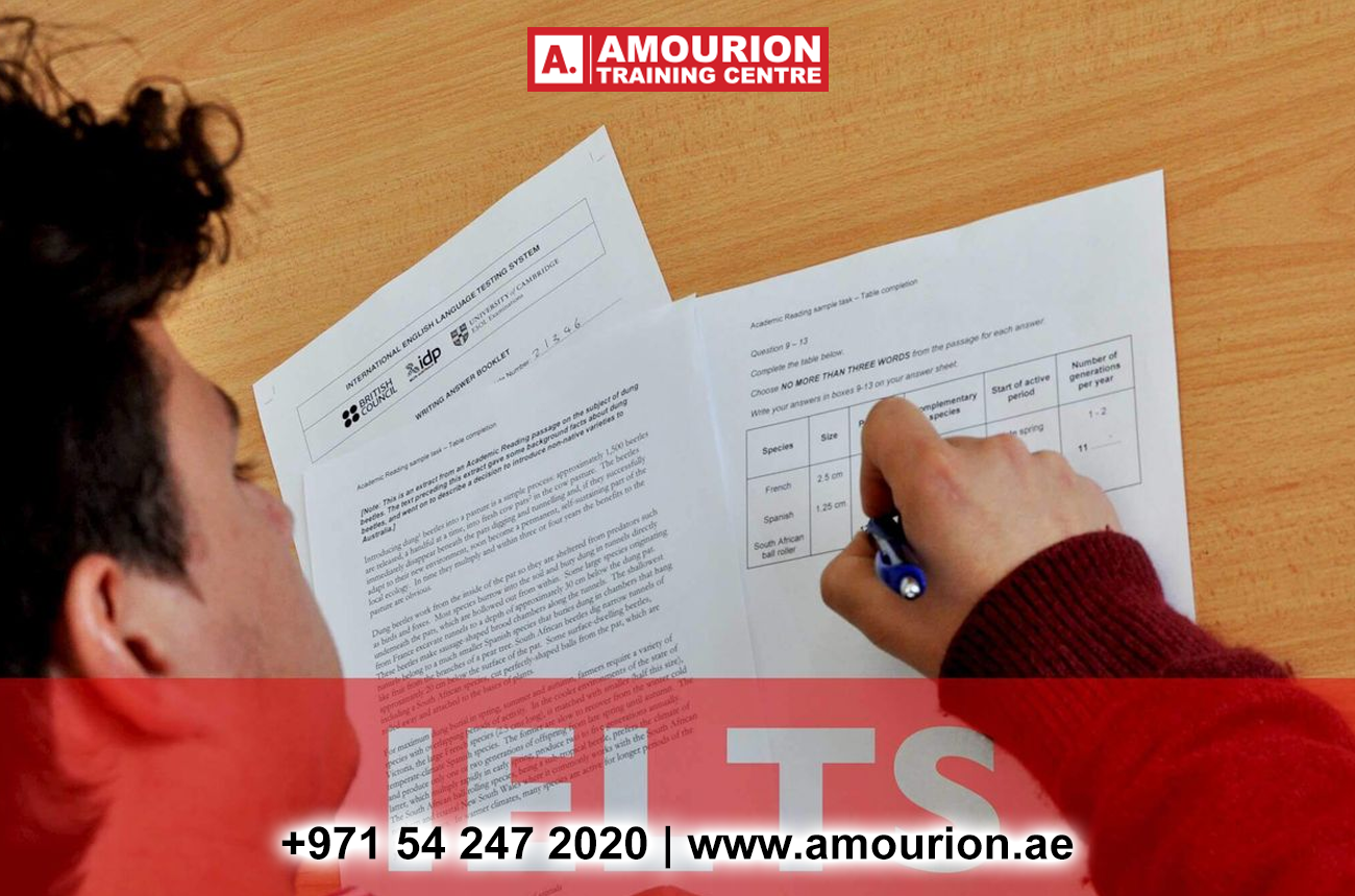 educational consultant in Abu Dhabi